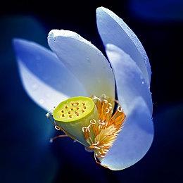 《英雄连3》 英军阵营全新宣传片公开 2月24日发售